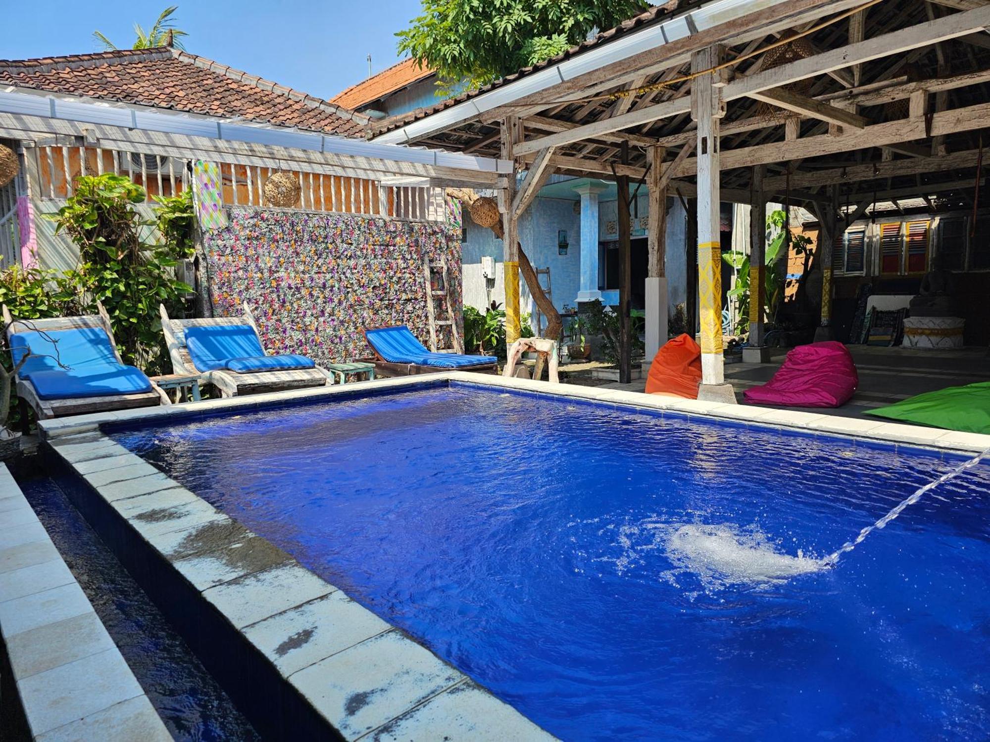Hostel Loca Lovina