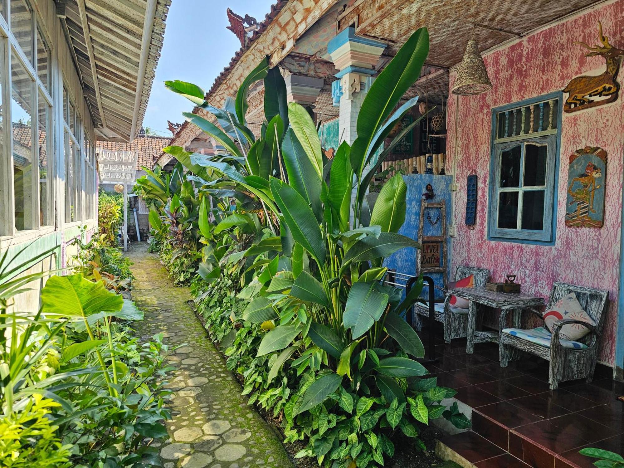 Loca Hostel Lovina